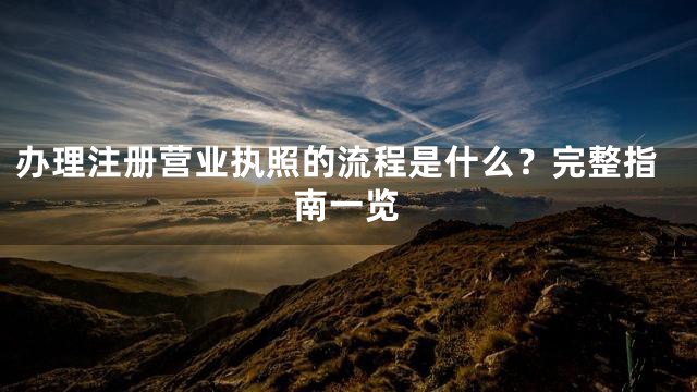 办理注册营业执照的流程是什么？完整指南一览