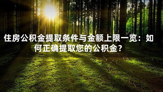 住房公积金提取条件与金额上限一览：如何正确提取您的公积金？