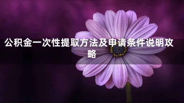 公积金一次性提取方法及申请条件说明攻略