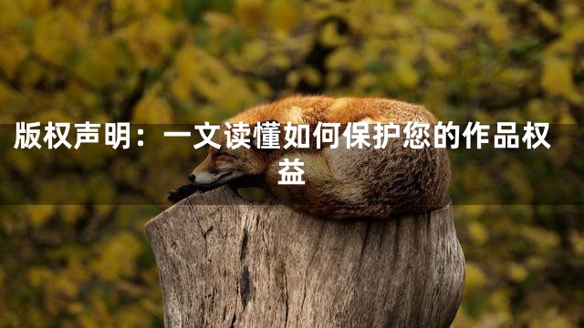 版权声明：一文读懂如何保护您的作品权益