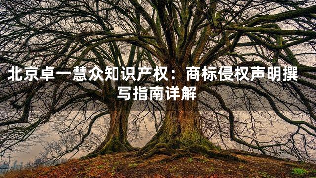 北京卓一慧众知识产权：商标侵权声明撰写指南详解