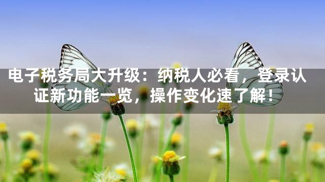 电子税务局大升级：纳税人必看，登录认证新功能一览，操作变化速了解！