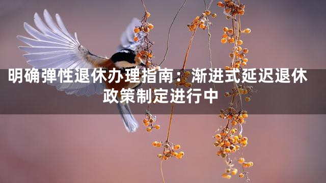 明确弹性退休办理指南：渐进式延迟退休政策制定进行中