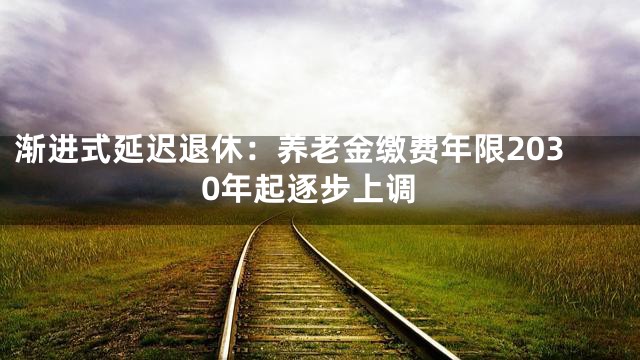 渐进式延迟退休：养老金缴费年限2030年起逐步上调
