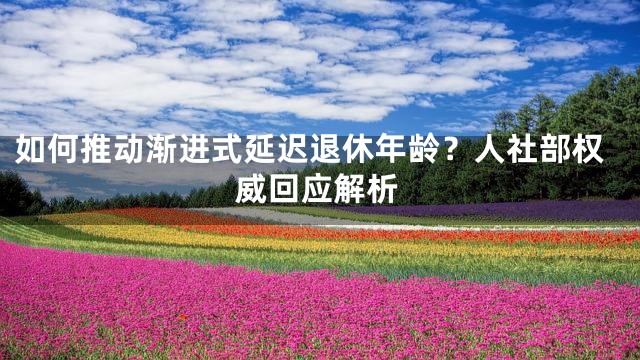 如何推动渐进式延迟退休年龄？人社部权威回应解析