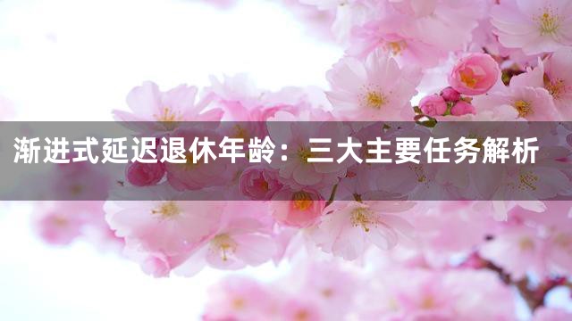 渐进式延迟退休年龄：三大主要任务解析
