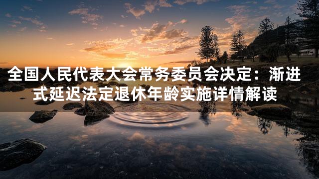 全国人民代表大会常务委员会决定：渐进式延迟法定退休年龄实施详情解读