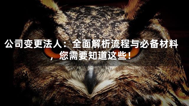 公司变更法人：全面解析流程与必备材料，您需要知道这些！