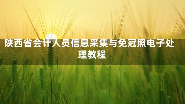 陕西省会计人员信息采集与免冠照电子处理教程