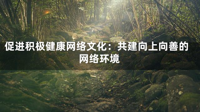 促进积极健康网络文化：共建向上向善的网络环境