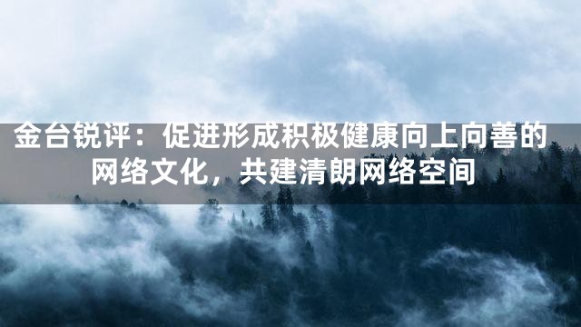 金台锐评：促进形成积极健康向上向善的网络文化，共建清朗网络空间
