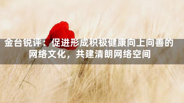 金台锐评：促进形成积极健康向上向善的网络文化，共建清朗网络空间