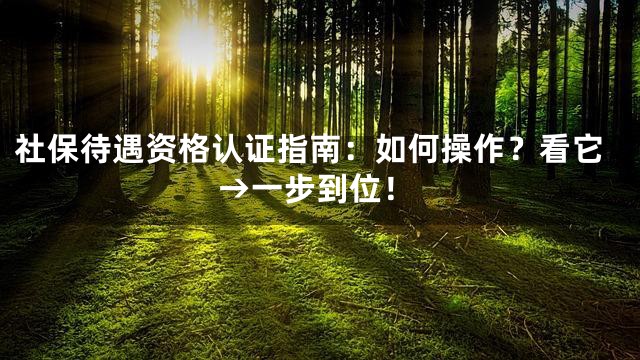 社保待遇资格认证指南：如何操作？看它→一步到位！