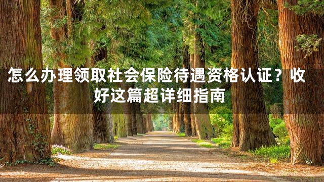 怎么办理领取社会保险待遇资格认证？收好这篇超详细指南