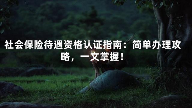 社会保险待遇资格认证指南：简单办理攻略，一文掌握！