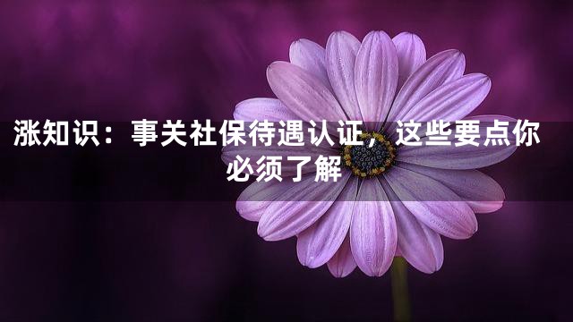 涨知识：事关社保待遇认证，这些要点你必须了解