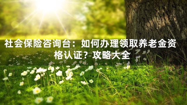 社会保险咨询台：如何办理领取养老金资格认证？攻略大全