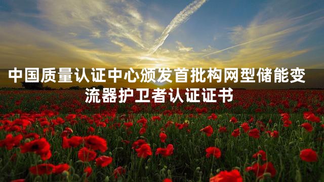 中国质量认证中心颁发首批构网型储能变流器护卫者认证证书