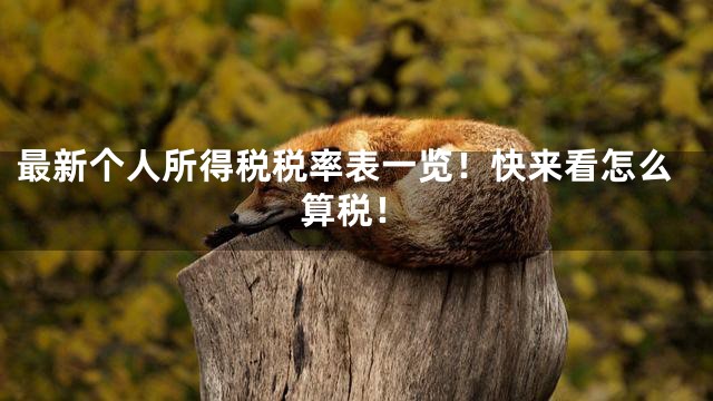 最新个人所得税税率表一览！快来看怎么算税！
