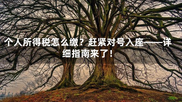 个人所得税怎么缴？赶紧对号入座——详细指南来了！