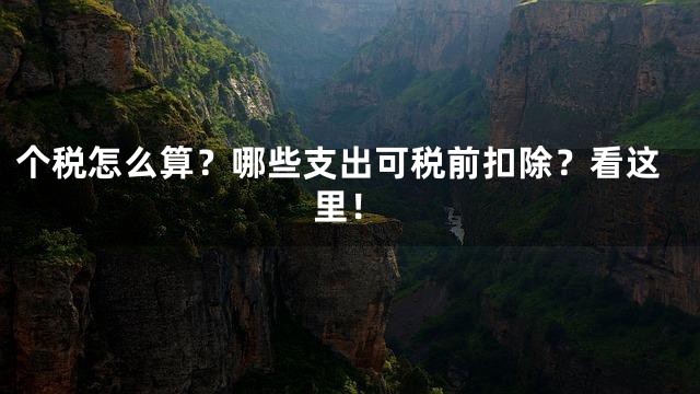 个税怎么算？哪些支出可税前扣除？看这里！
