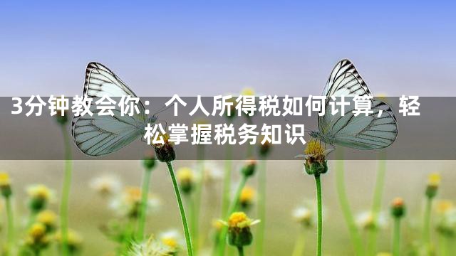 3分钟教会你：个人所得税如何计算，轻松掌握税务知识