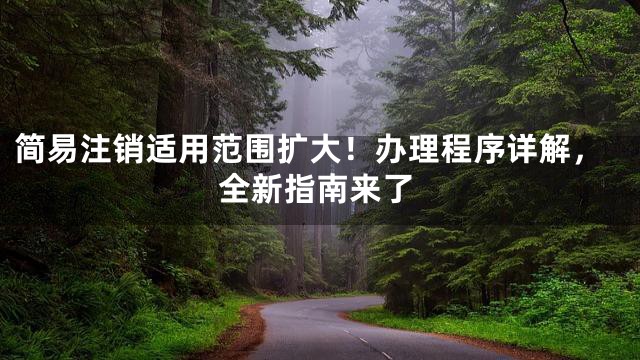 简易注销适用范围扩大！办理程序详解，全新指南来了