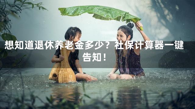 想知道退休养老金多少？社保计算器一键告知！