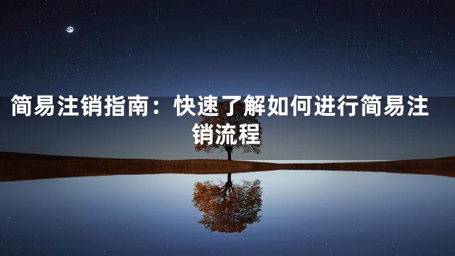简易注销指南：快速了解如何进行简易注销流程