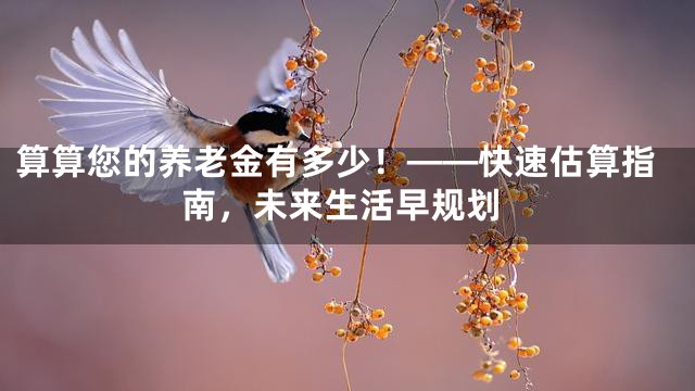 算算您的养老金有多少！——快速估算指南，未来生活早规划