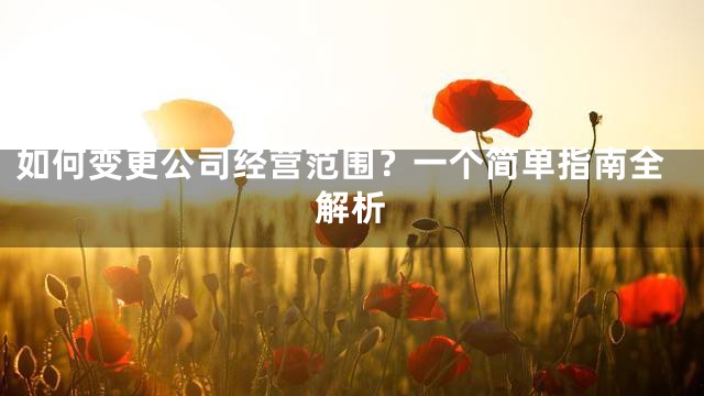 如何变更公司经营范围？一个简单指南全解析