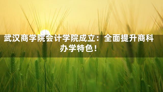 武汉商学院会计学院成立：全面提升商科办学特色！