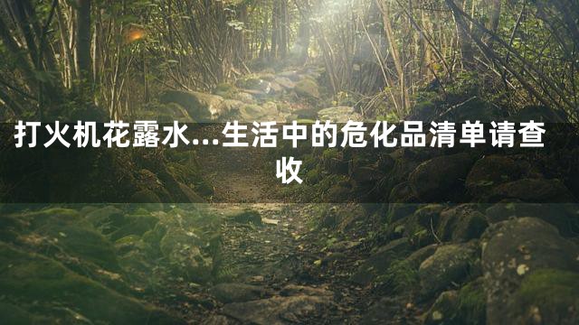打火机花露水…生活中的危化品清单请查收