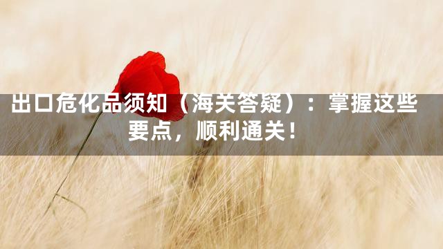 出口危化品须知（海关答疑）：掌握这些要点，顺利通关！