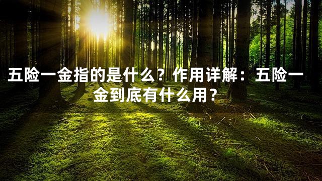 五险一金指的是什么？作用详解：五险一金到底有什么用？