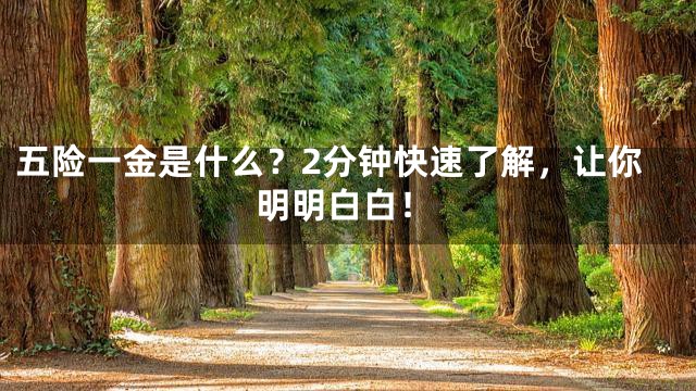 五险一金是什么？2分钟快速了解，让你明明白白！