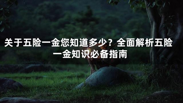 关于五险一金您知道多少？全面解析五险一金知识必备指南