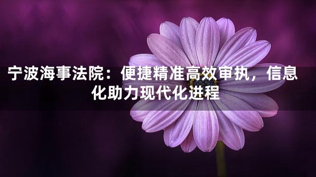 宁波海事法院：便捷精准高效审执，信息化助力现代化进程