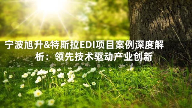 宁波旭升&特斯拉EDI项目案例深度解析：领先技术驱动产业创新