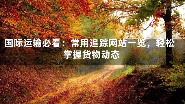 国际运输必看：常用追踪网站一览，轻松掌握货物动态