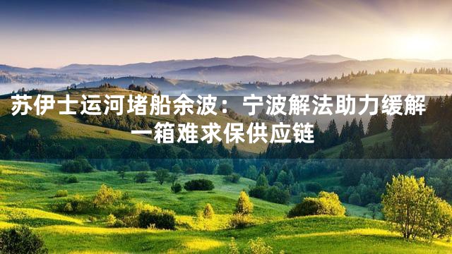 苏伊士运河堵船余波：宁波解法助力缓解一箱难求保供应链