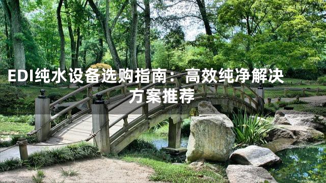EDI纯水设备选购指南：高效纯净解决方案推荐