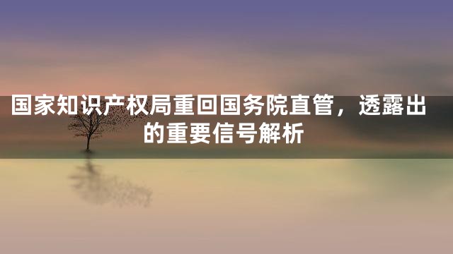 国家知识产权局重回国务院直管，透露出的重要信号解析