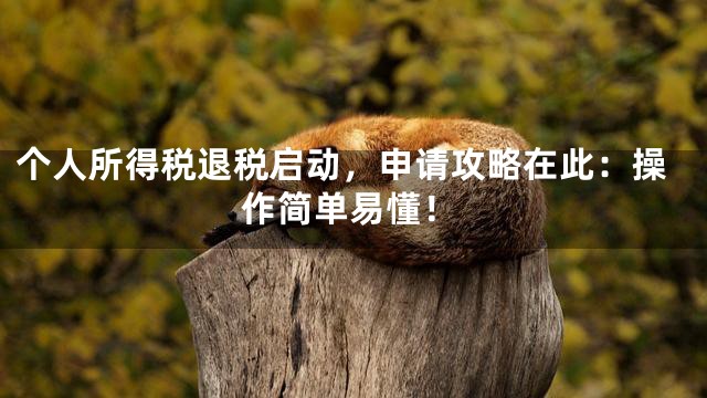 个人所得税退税启动，申请攻略在此：操作简单易懂！