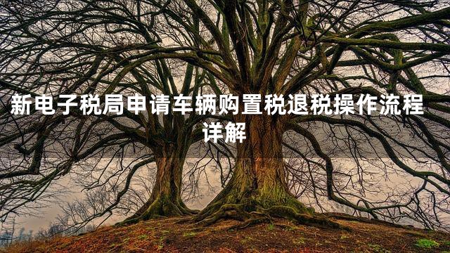 新电子税局申请车辆购置税退税操作流程详解