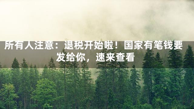 所有人注意：退税开始啦！国家有笔钱要发给你，速来查看