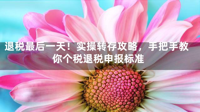 退税最后一天！实操转存攻略，手把手教你个税退税申报标准