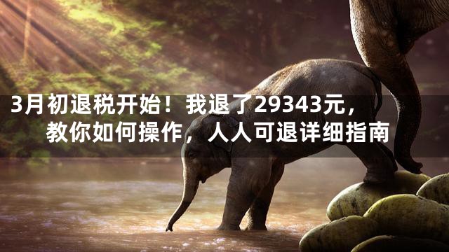 3月初退税开始！我退了29343元，教你如何操作，人人可退详细指南