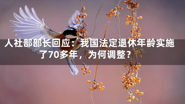 人社部部长回应：我国法定退休年龄实施了70多年，为何调整？