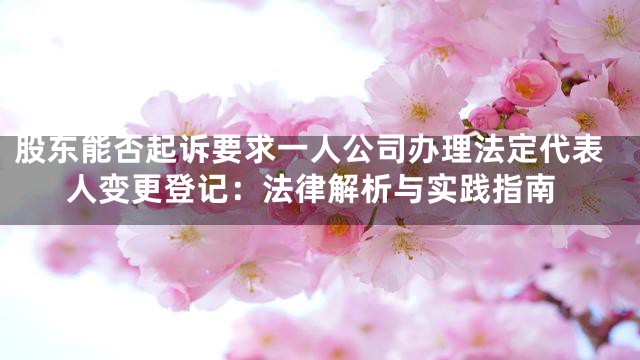 股东能否起诉要求一人公司办理法定代表人变更登记：法律解析与实践指南